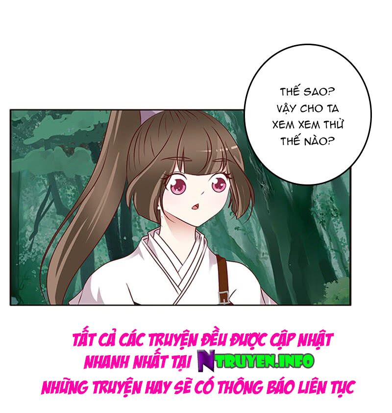 Thông Linh Phi: Chapter 311