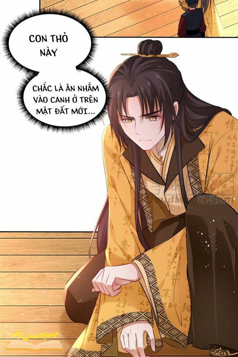 Vương Phi Thật Thích Trang Điểm: Chapter 120