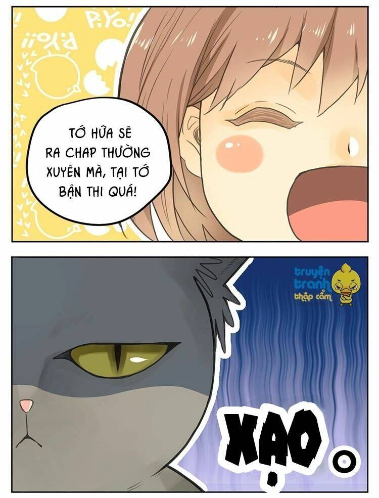Cứu Mạng! Loài Mèo Thống Trị Thế Giới Rồi!: Chapter 25