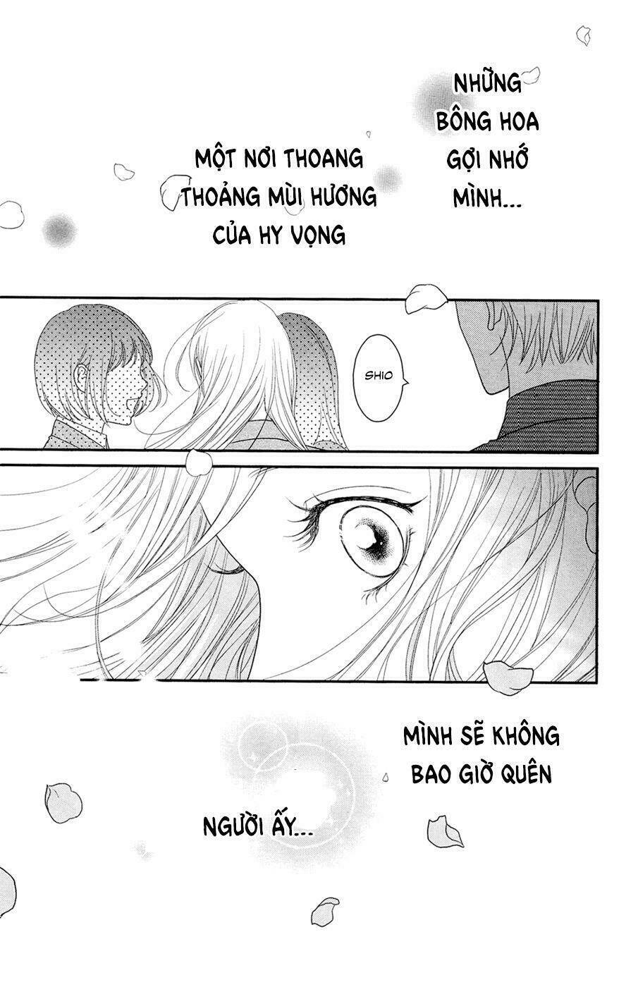 Đóa Hoa Năm Ấy: Chapter 4