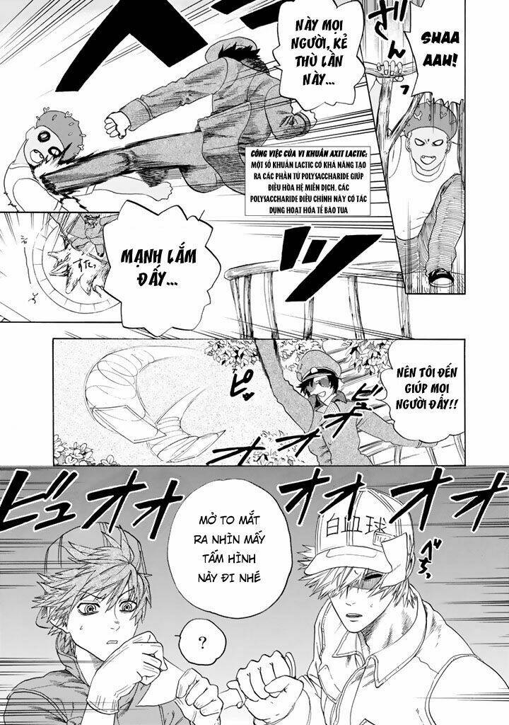 Hataraku Saibou!: Chapter 22