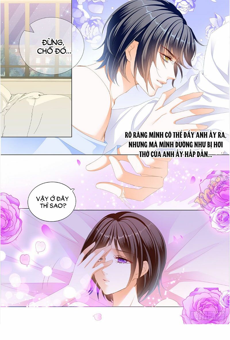 Thiểm Hôn Kiều Thê: Chapter 244