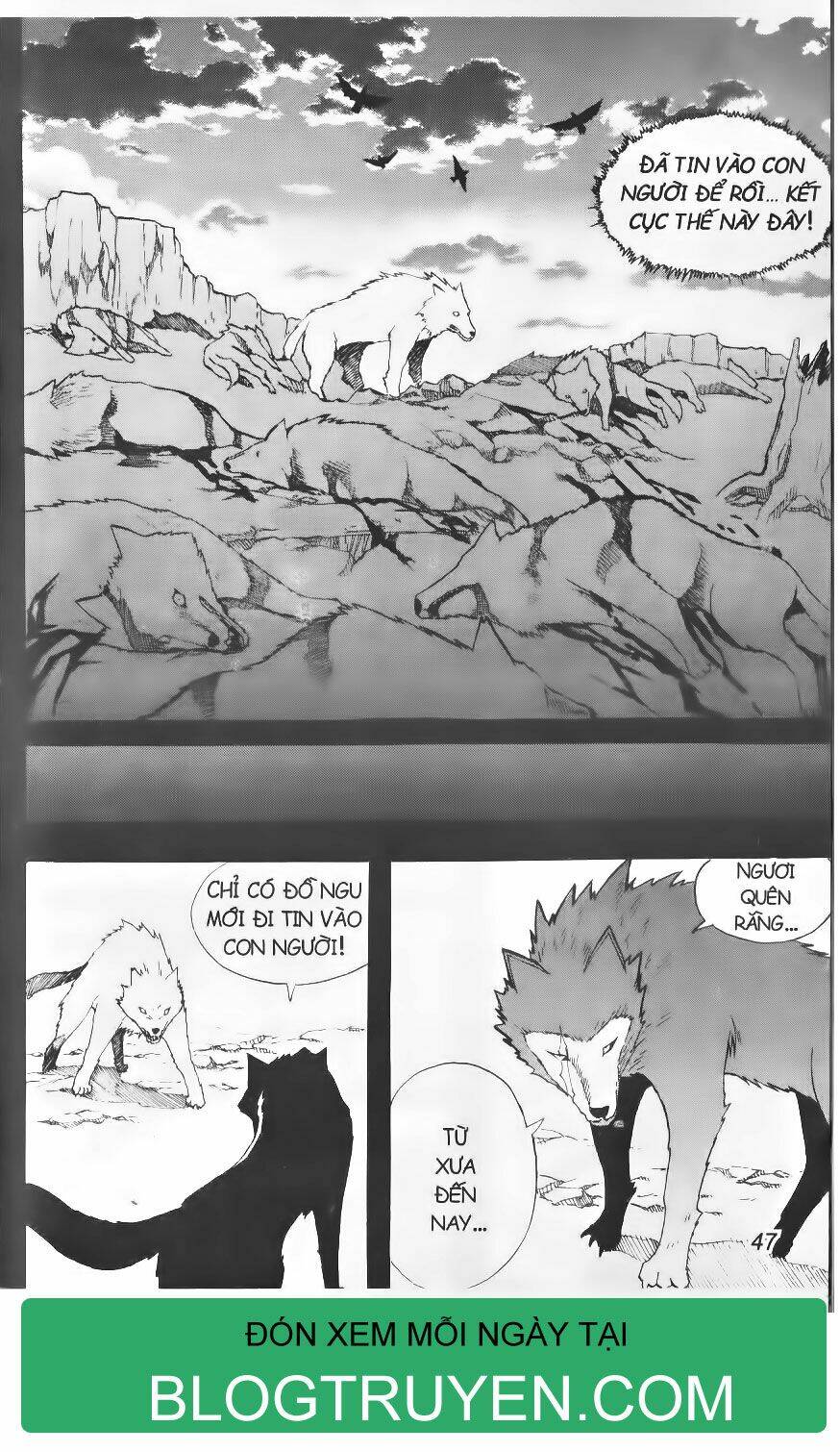 Shin Gumiho - Hội Pháp Sư: Chapter 39.1