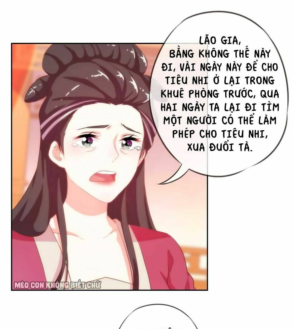 Ồ, Sủng Phi Đại Nhân Của Ta: Chapter 2