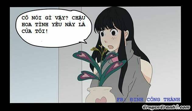 Hạt Giống Tình Yêu: Chapter 4