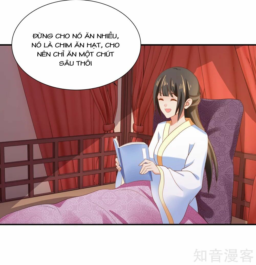 Lãnh Cung Phế Hậu Muốn Nghịch Thiên: Chapter 140