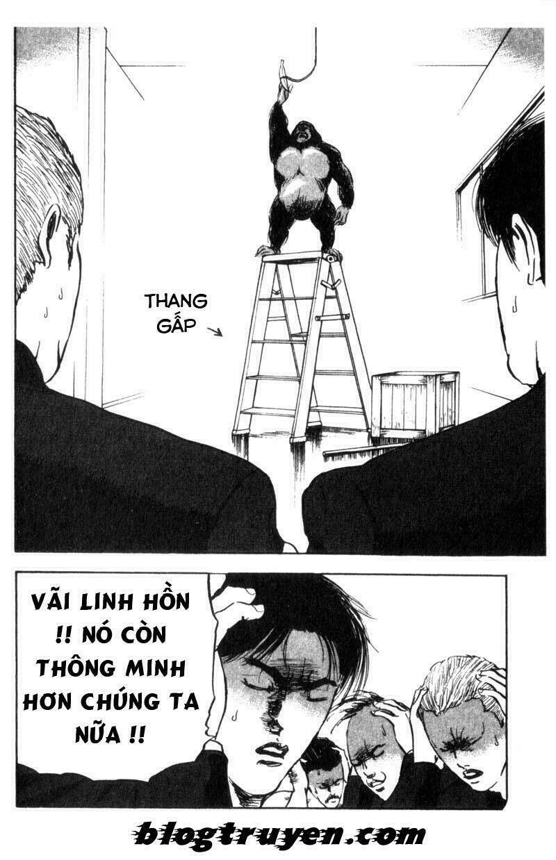 Cromartie High School: Chapter 11