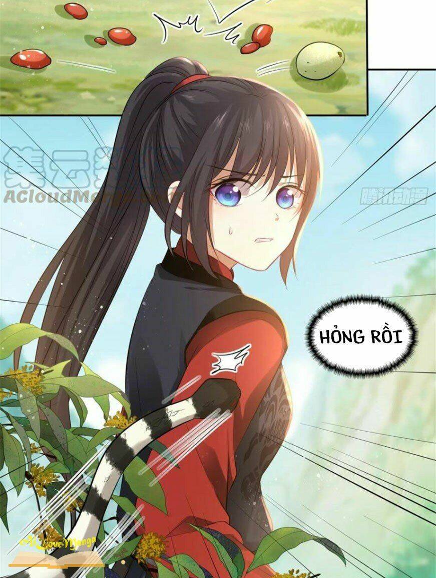 Vương Phi Thật Thích Trang Điểm: Chapter 109