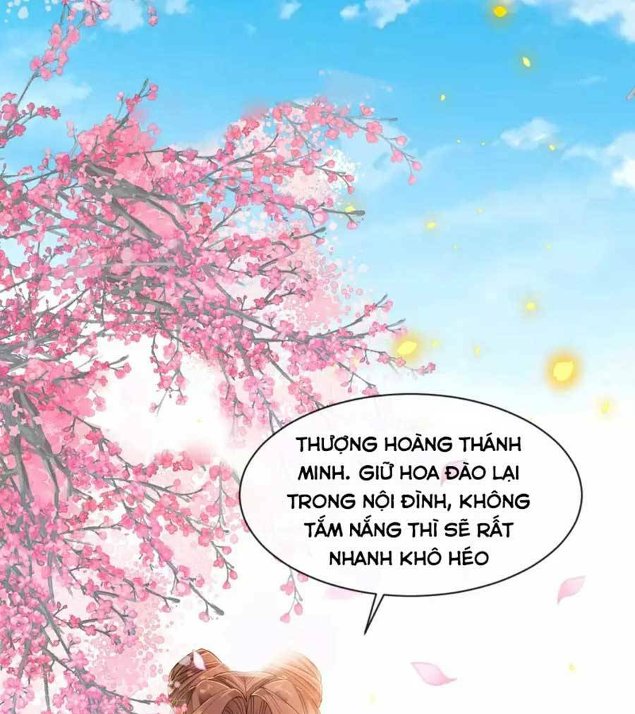 Tướng Quân, Bổn Phi Không Nhận Sủng: Chapter 26