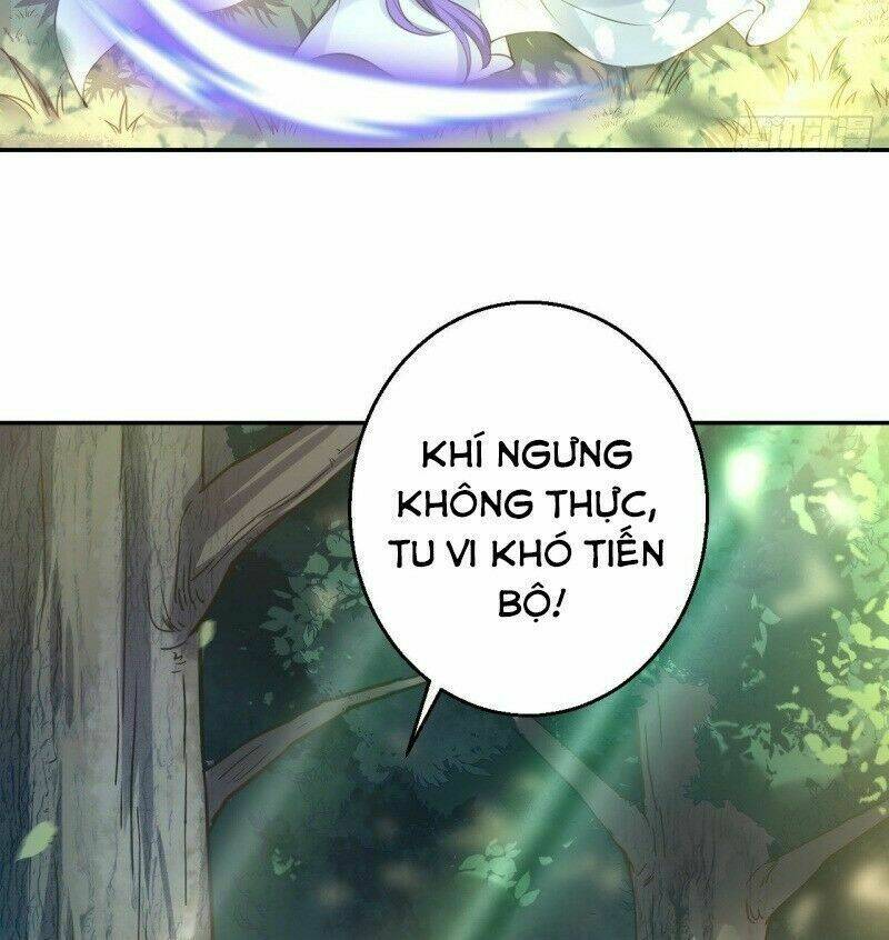 Nữ Tiên Tôn Bận Đào Hôn: Chapter 16