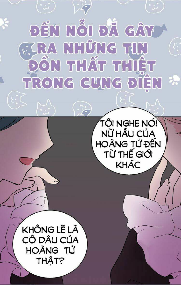 Miêu Vương Tử Đích Tân Nương: Chapter 0.5