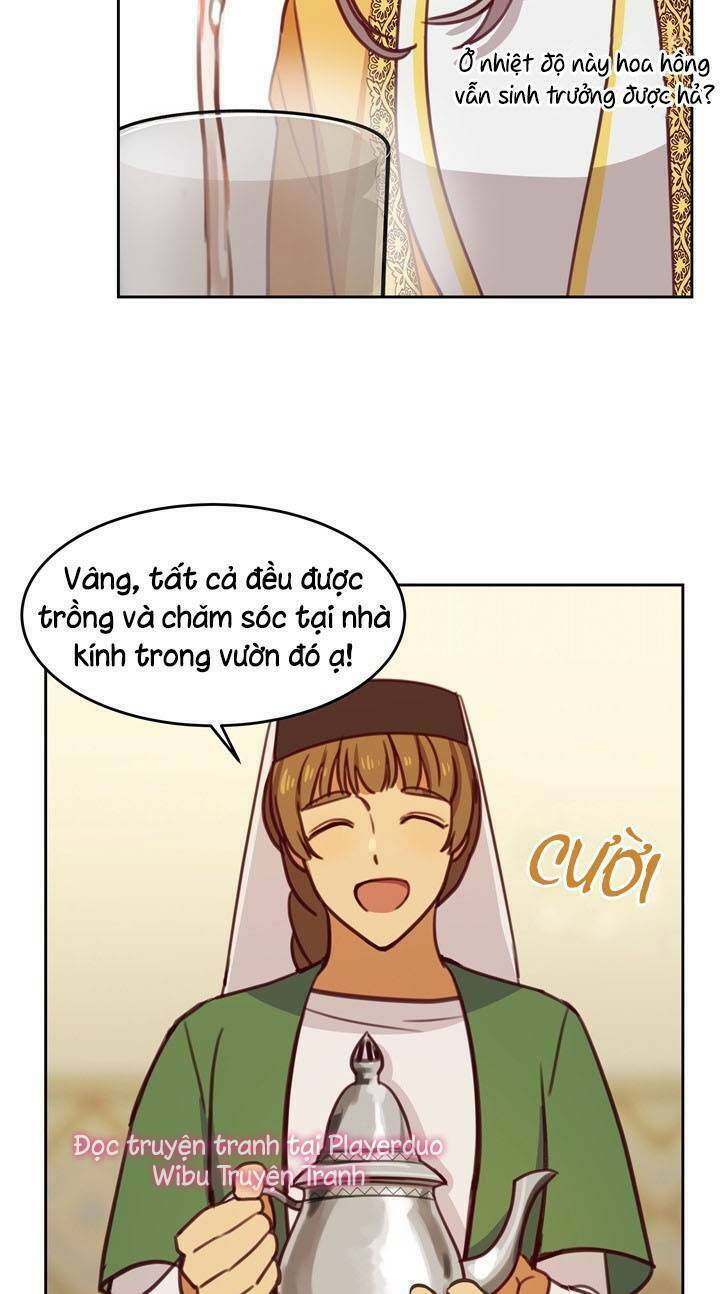 Amina - Nữ Thần Đèn: Chapter 11