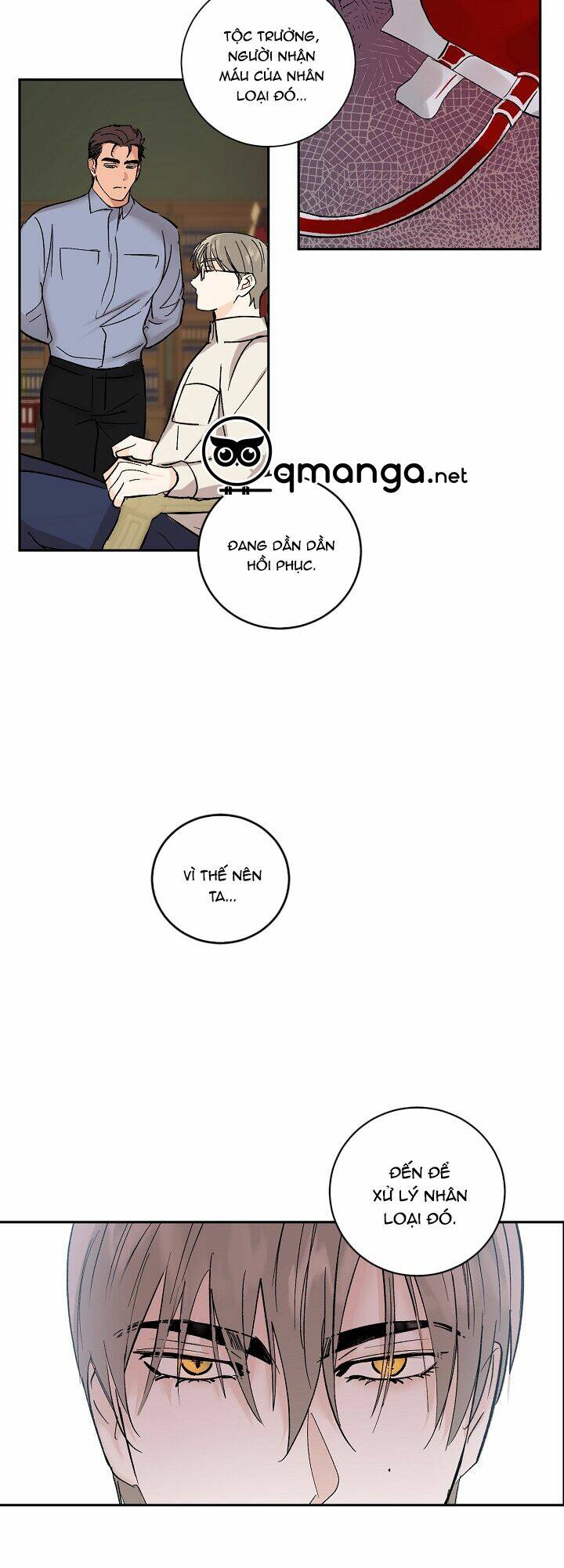 Kẻ Cắp Mặt Trăng: Chapter 26