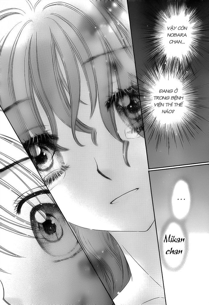 Học Viện Alice: Chapter 155