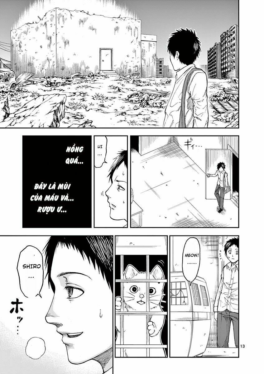 Nữ Vương Của Máu Và Tro: Chapter 1