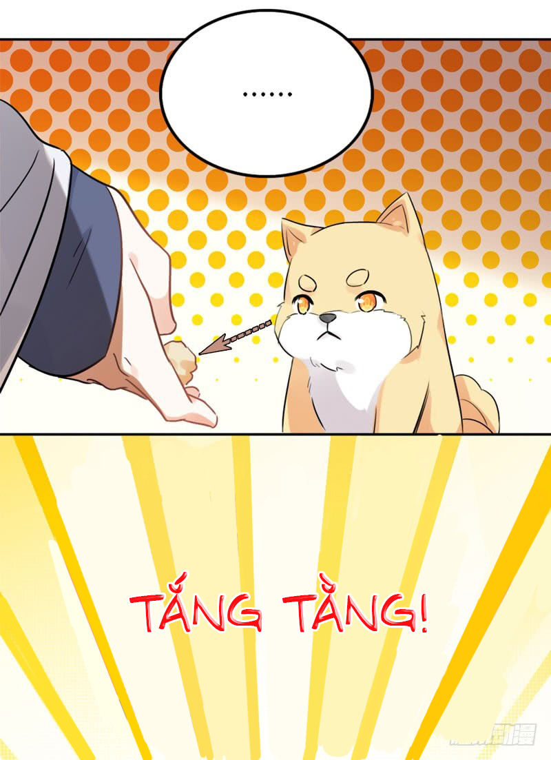 Lụ Đạn, Hôm Nay Lại Cũng Không Thể Biến Thành Người Được: Chapter 2