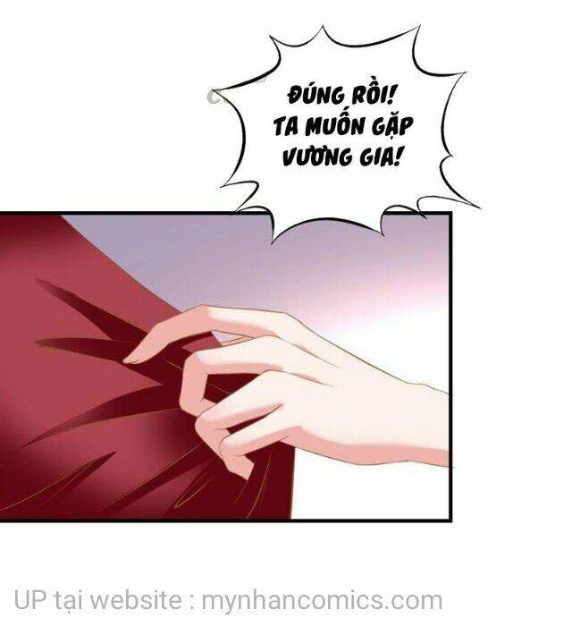 Thái Tử Điện Hạ Có Tin Vui: Chapter 125