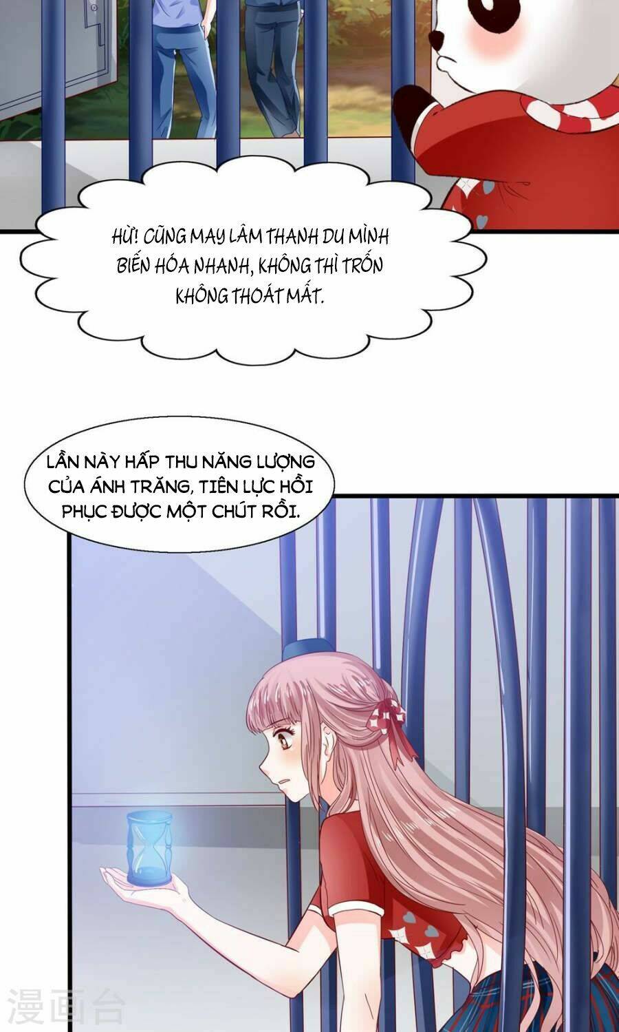 Tôi Bị Gấu Trúc Nhìn Trúng Rồi: Chapter 5