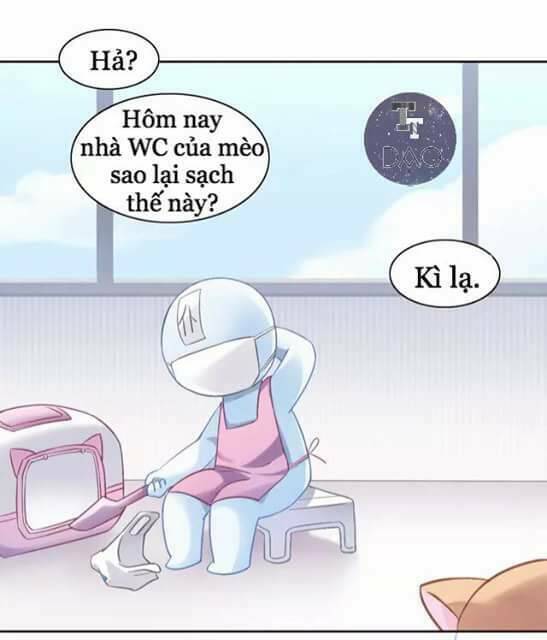 Dưới Móng Vuốt Mèo: Chapter 6
