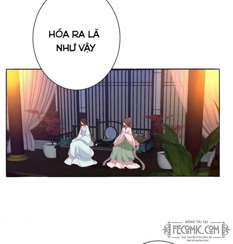 Thông Linh Phi: Chapter 720