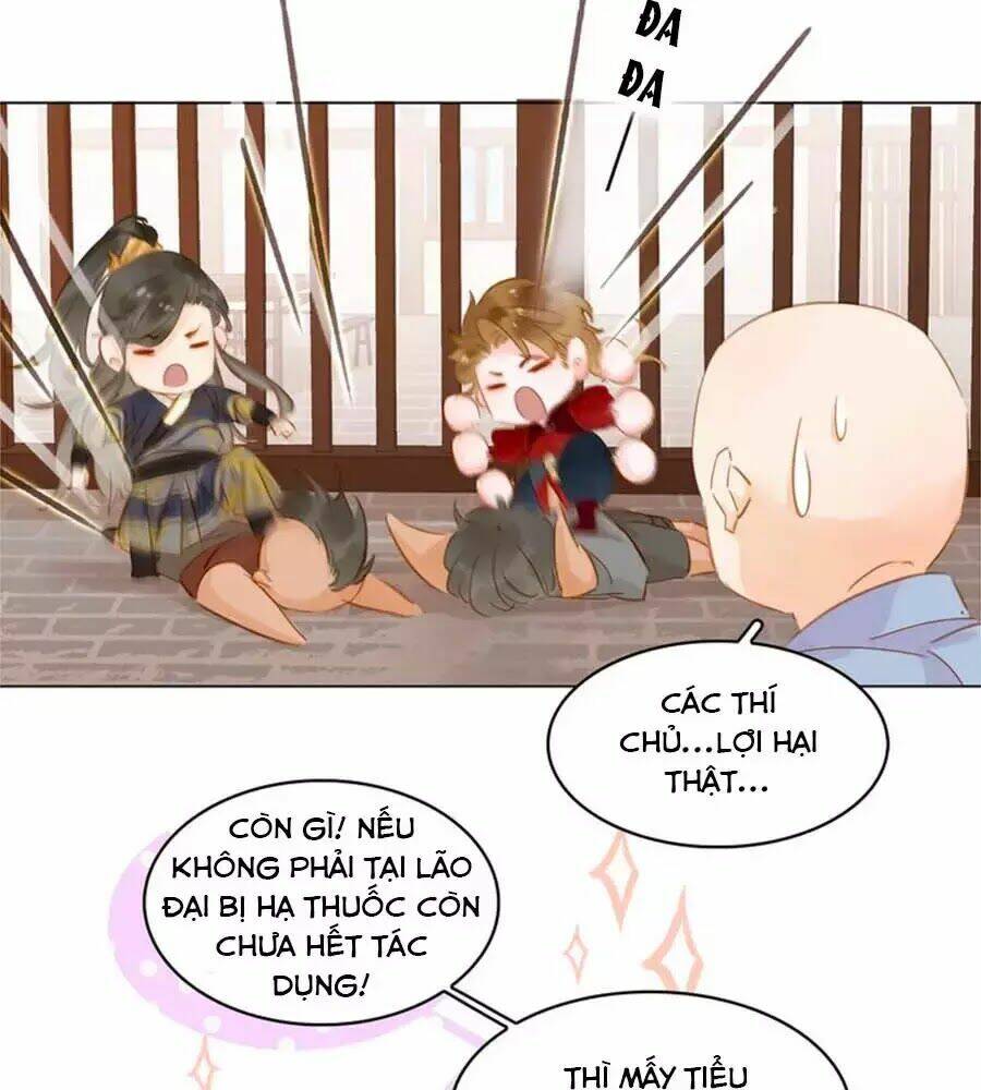 Tiểu Sư Phụ, Tóc Giả Của Ngài Rơi Rồi!: Chapter 24