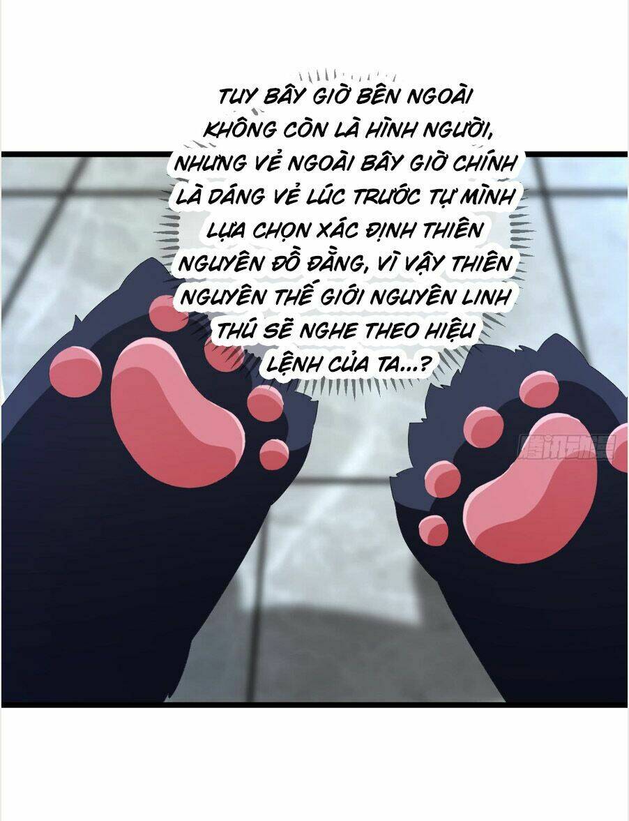 Nguyên Linh Chúa Tể: Chapter 3.5