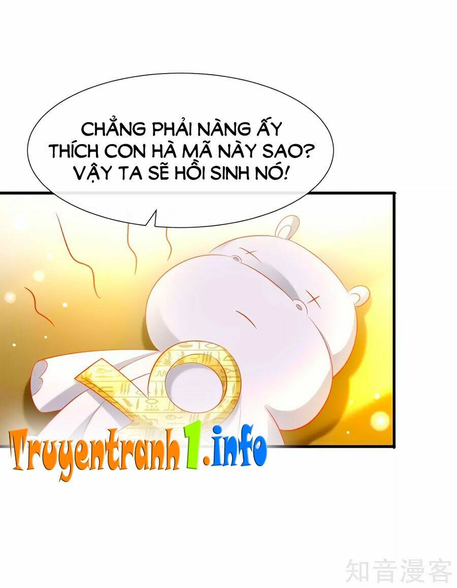 Sủng Hậu Của Vương: Chapter 50