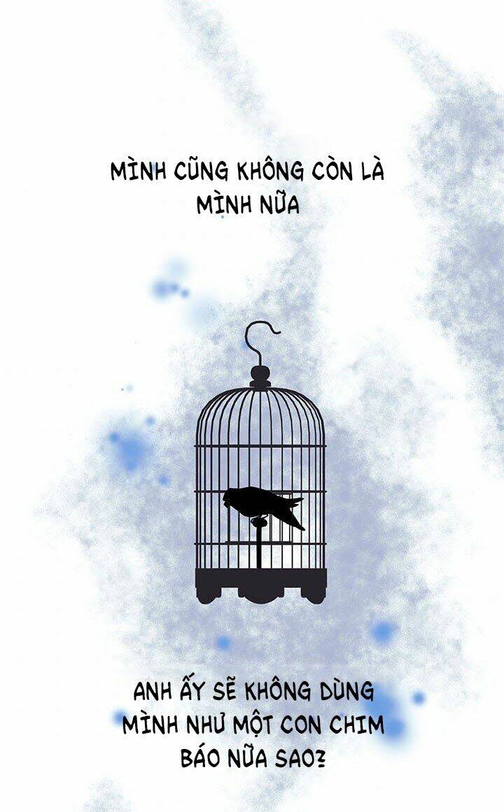 Công Chúa Của Loài Chim: Chapter 18