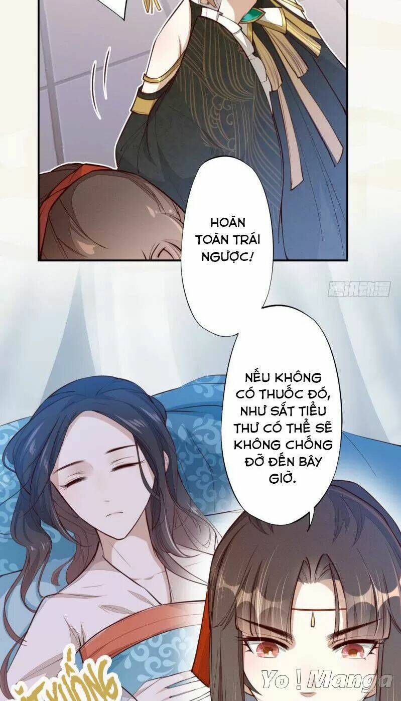 Tuyệt Thế Luyện Đan Sư: Chapter 64