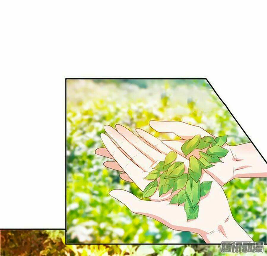 Bạn Trai Là Ngôi Sao: Chapter 71