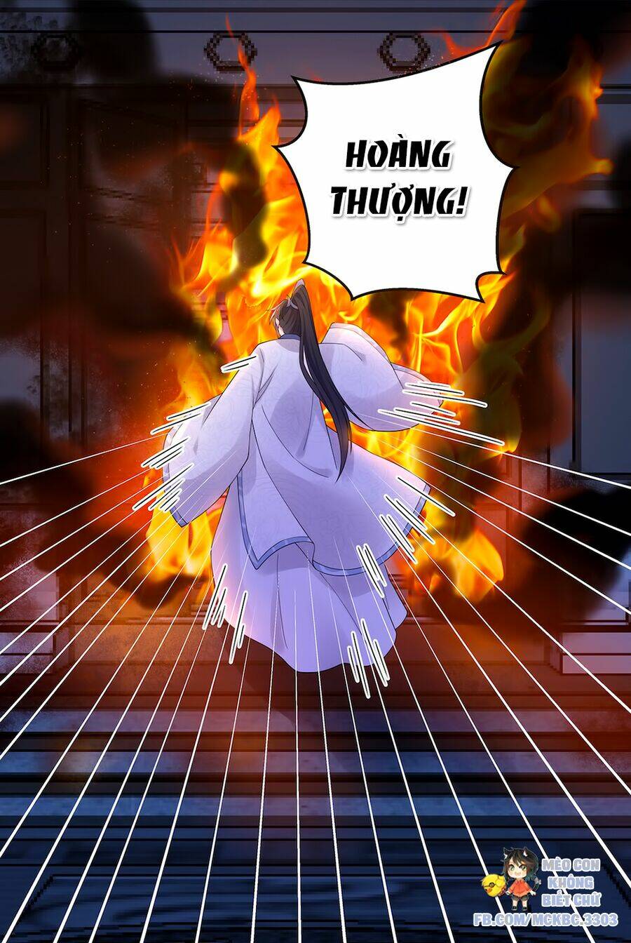 Báo Cáo! Đế Quân Ngài Có Độc!: Chapter 48