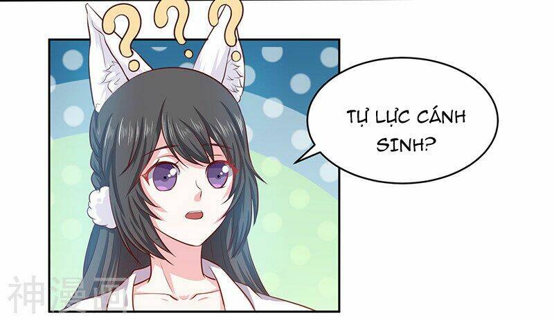 Quy Luật Năm Bản Mệnh Của Hồ Ly: Chapter 9
