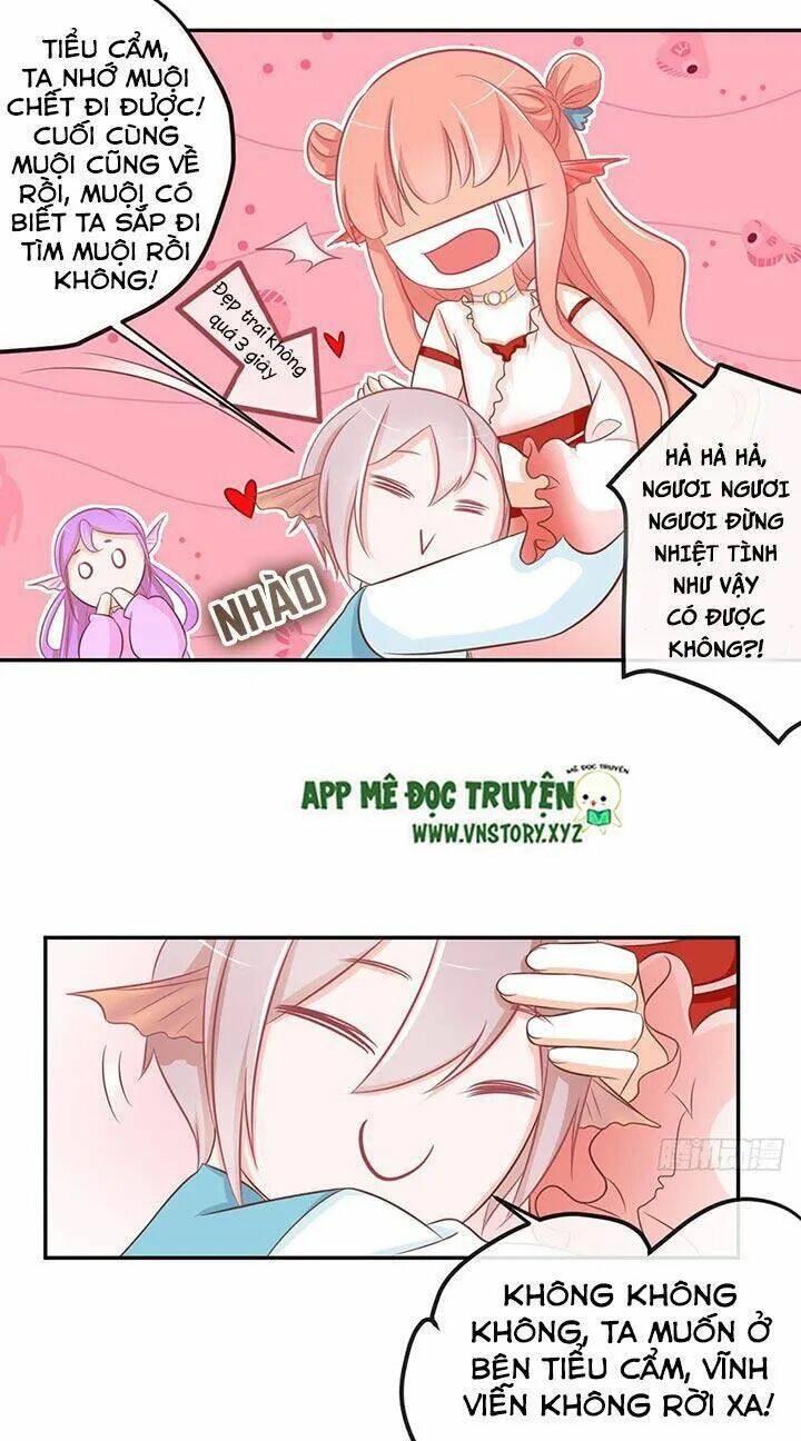 Cẩm Lý Thiếu Nữ Của Tôi: Chapter 24