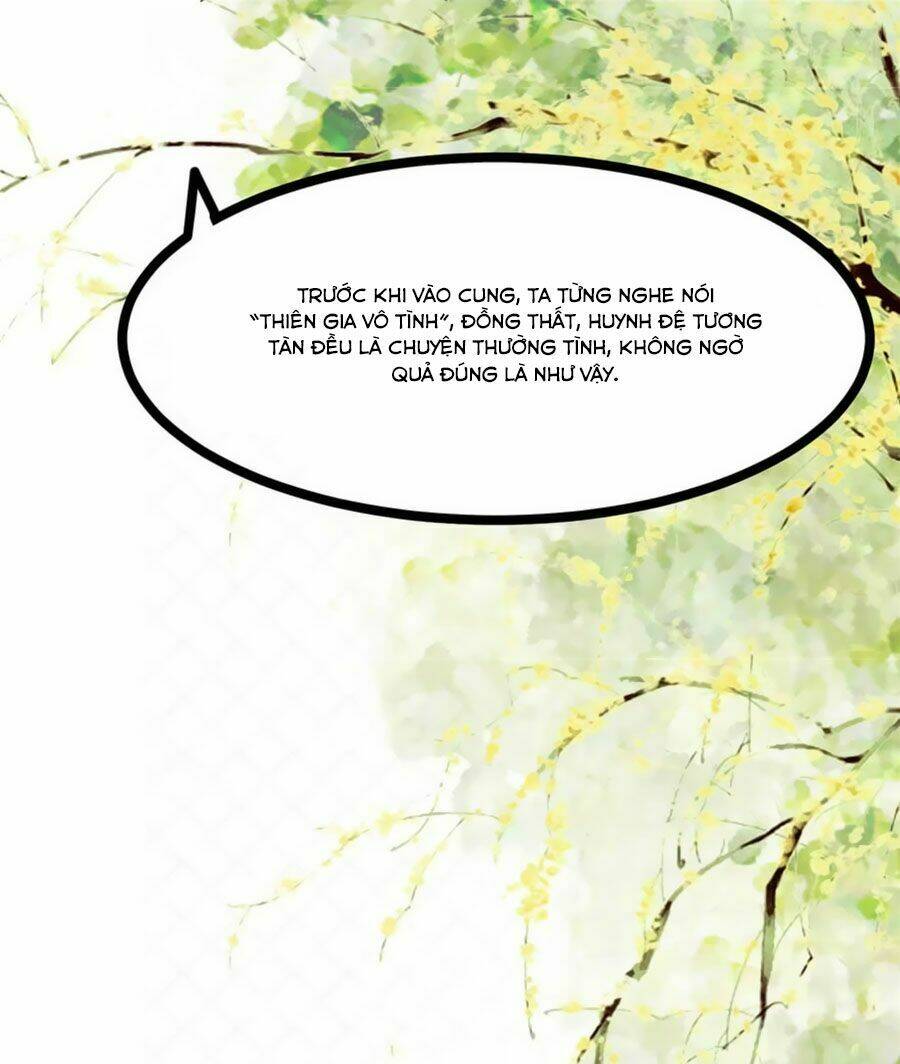 Ngọc Vi Mai: Chapter 37