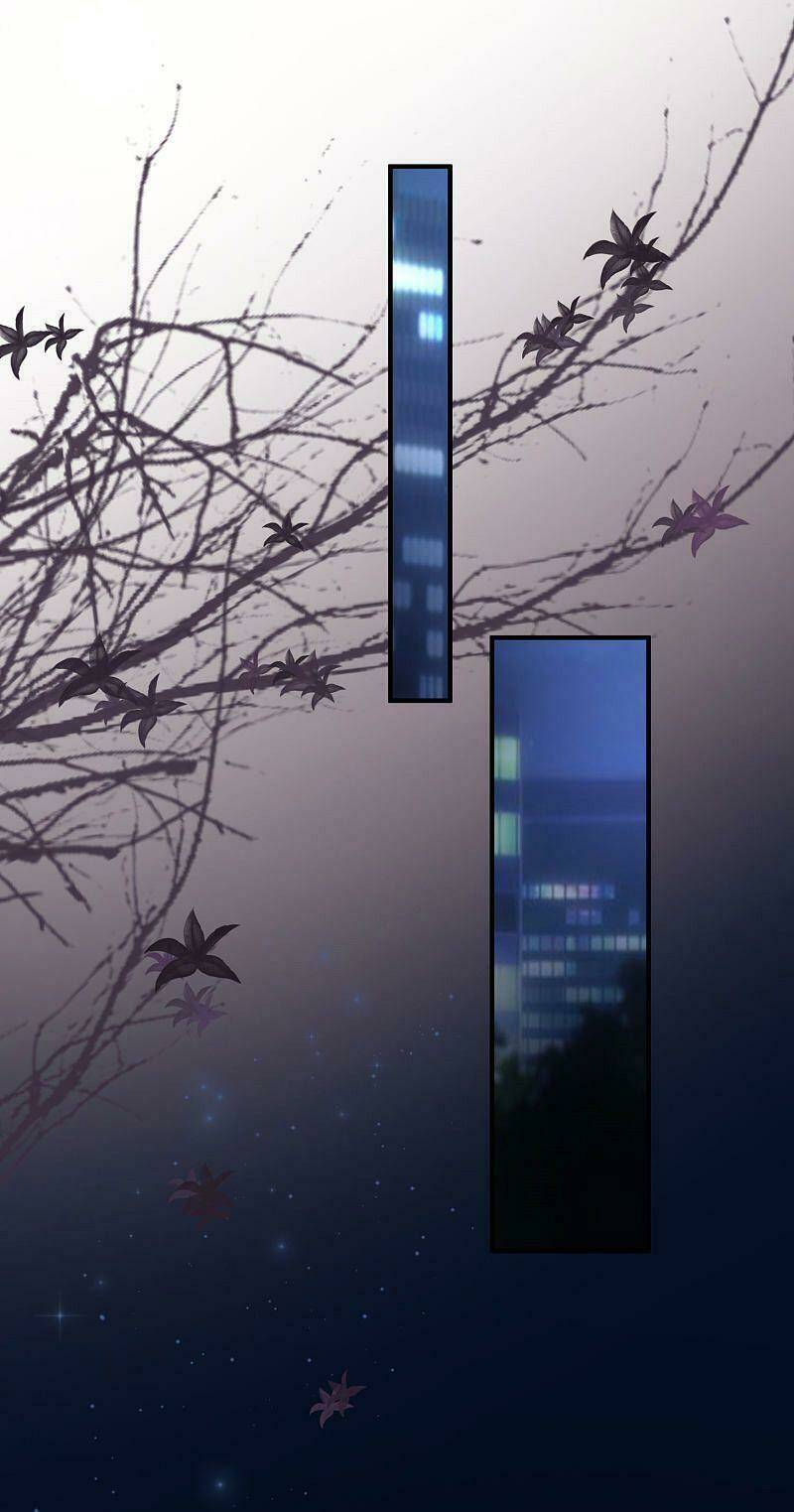 Tối Cường Vận Đào Hoa: Chapter 147