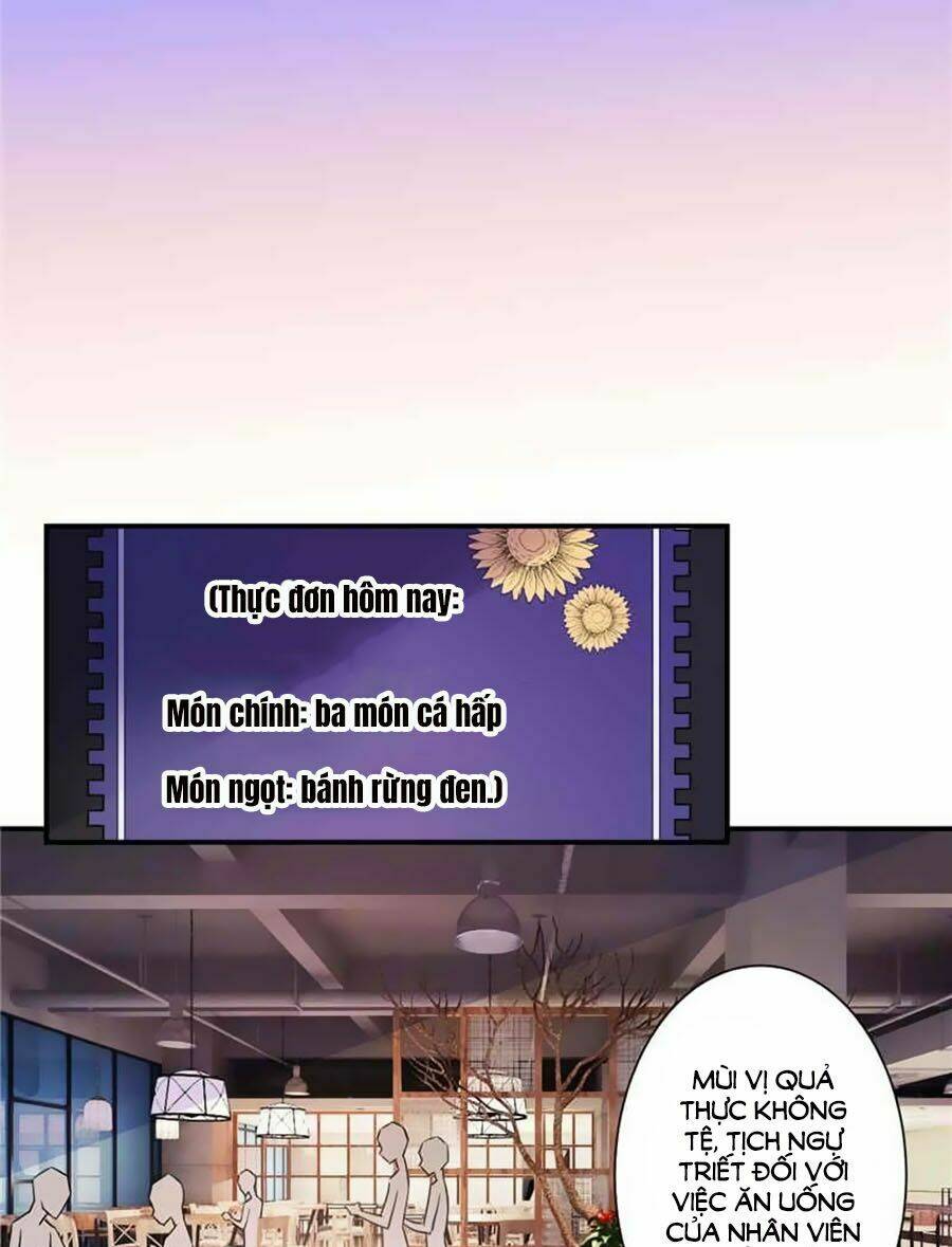 Vợ Yêu Là Báu Vật: Chapter 22