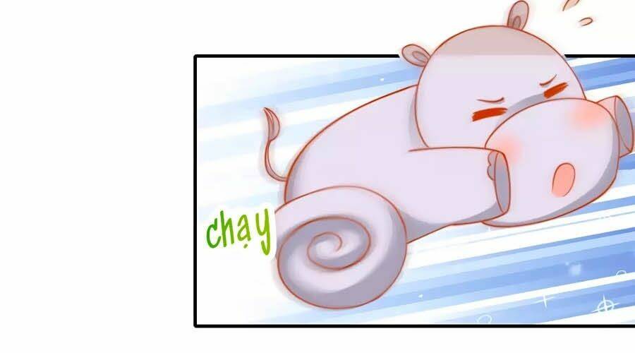 Sủng Hậu Của Vương: Chapter 32