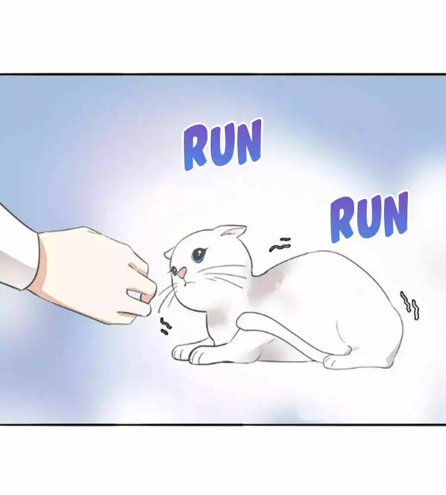 Mùi Hương Lãng Mạn: Chapter 36