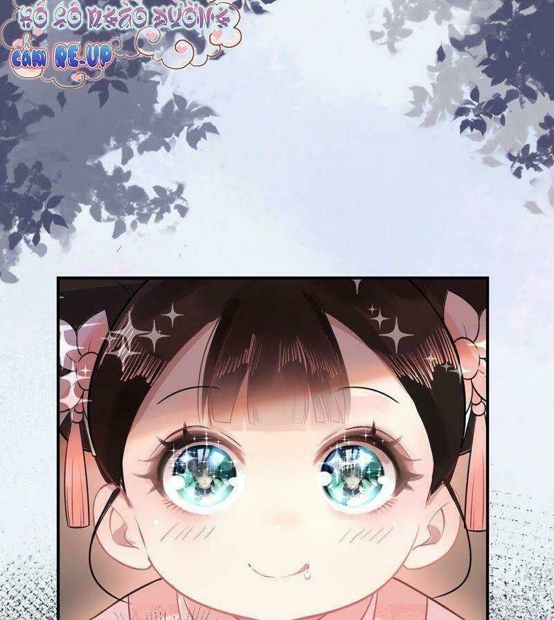 Quận Chúa Vững Vàng, Thiết Lập Nhân Vật Không Thể Vỡ: Chapter 2