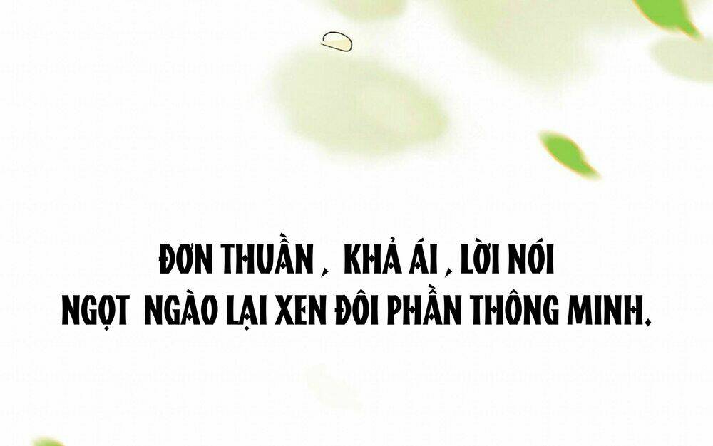 Lưu Hoa Bất Cập Xuân: Chapter 0