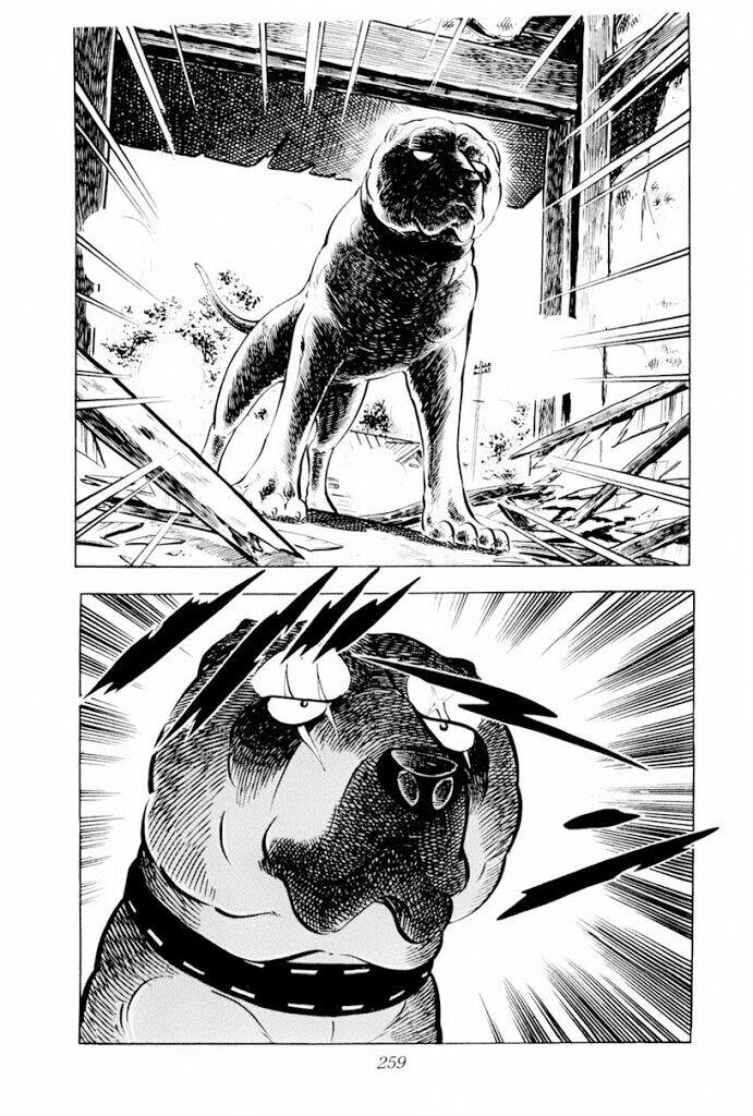 Chú Chó Có Nghĩa - Ginga Nagareboshi Gin: Chapter 30.1