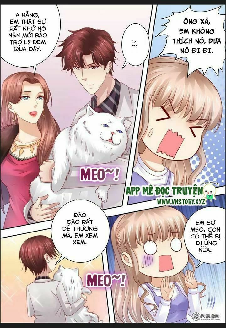 Cưng Chiều Vợ Yêu: Chapter 72: Hôn nhân không tình yêu