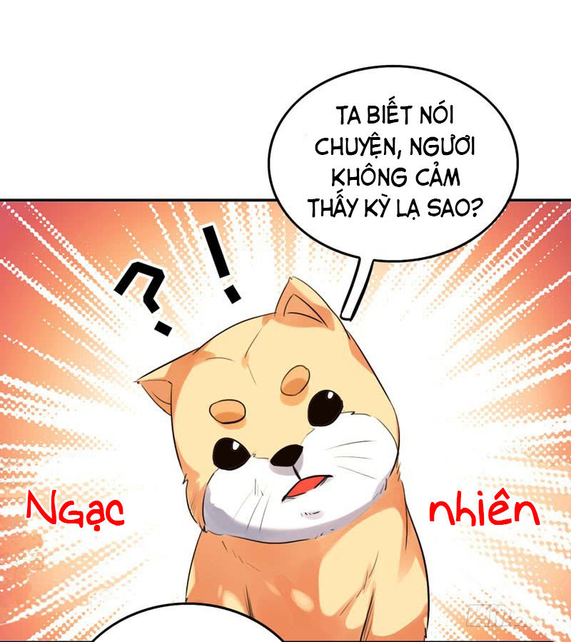 Lụ Đạn, Hôm Nay Lại Cũng Không Thể Biến Thành Người Được: Chapter 2