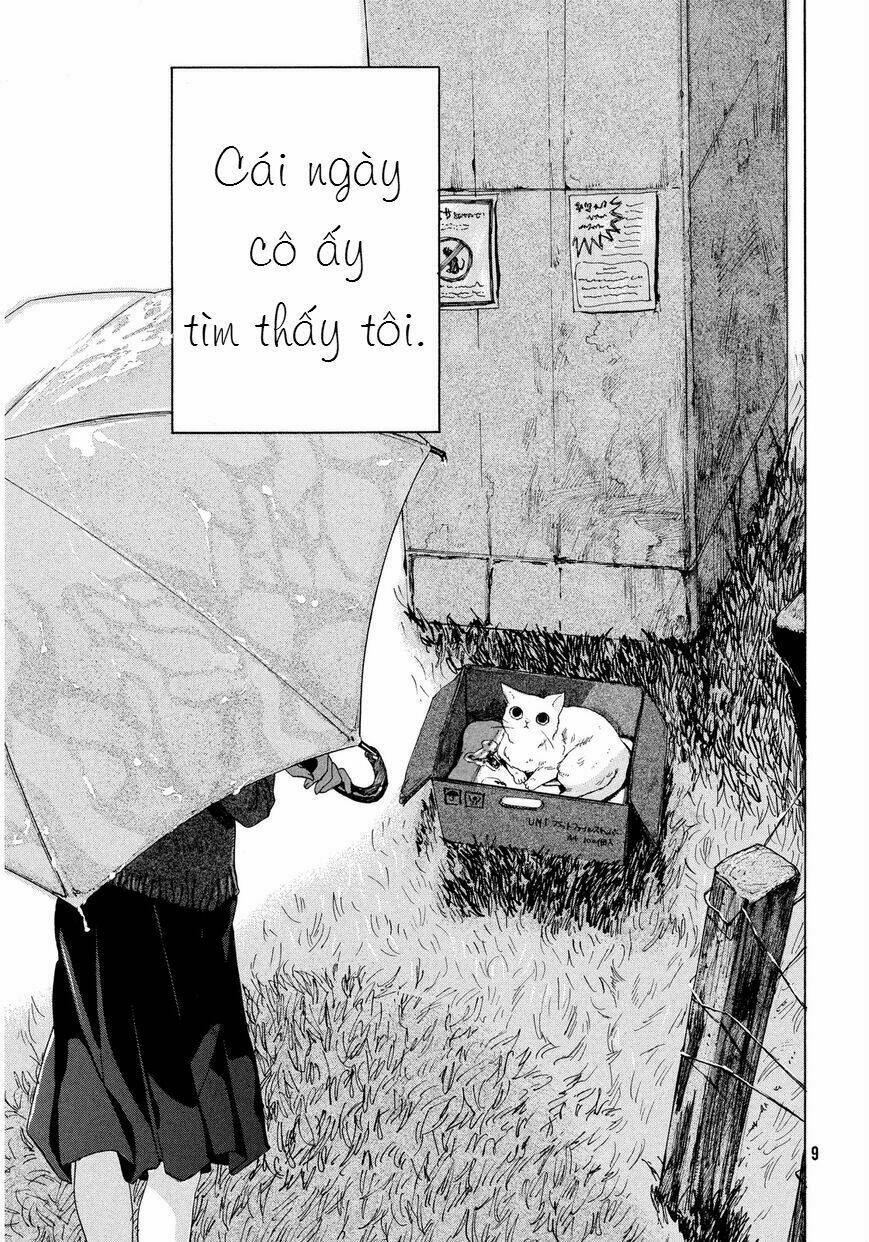 Chú Mèo Và Cô Chủ: Chapter 1