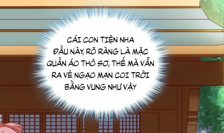 Đô đốc đại nhân sủng thê kí: Chapter 1.6