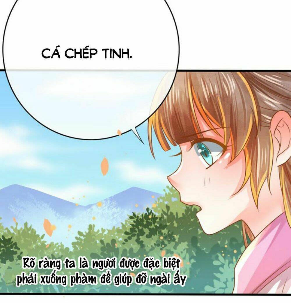 Chọc Nhầm Thượng Thần Băng Lãnh: Chapter 6