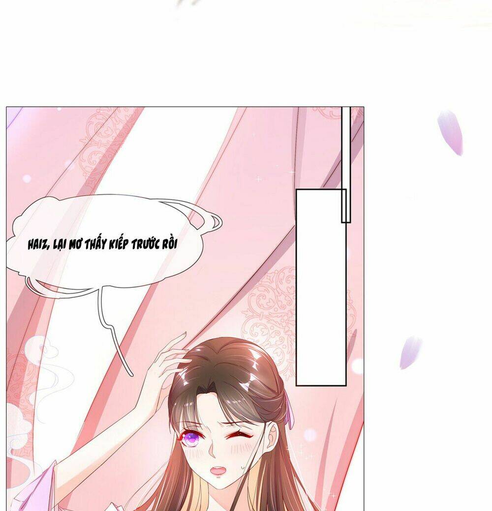 Vương Phi Tu Tiên: Đối Kháng Ma Vương: Chapter 3