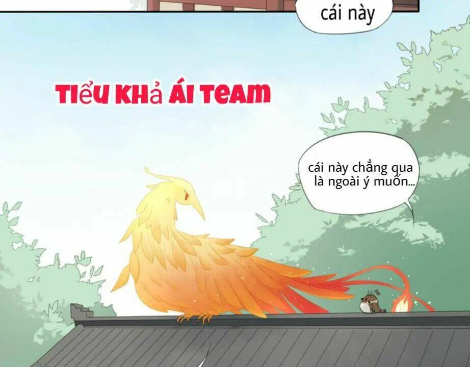 Tước Kiều Tiên: Chapter 2.1