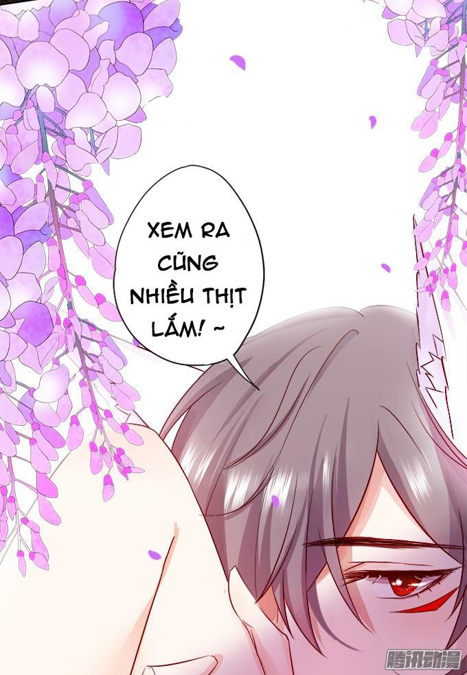 Hồ Tiên Hung Bạo: Chapter 2