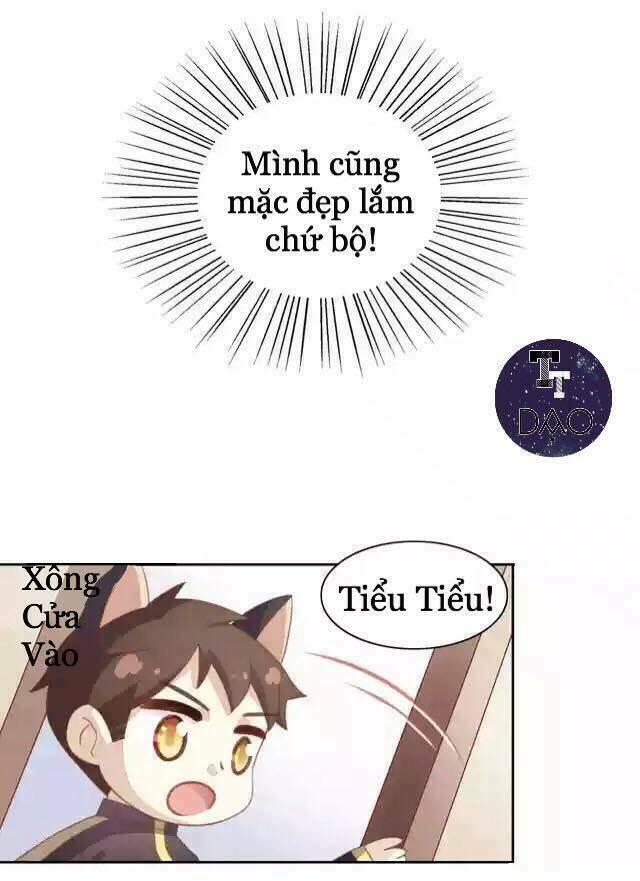 Dưới Móng Vuốt Mèo: Chapter 11